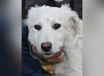 Saabira - So jung und so chancenlos ...