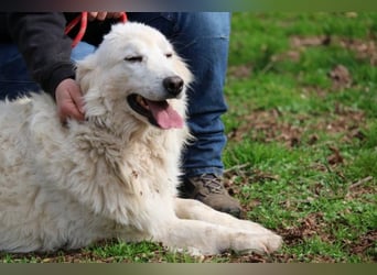 Alida - Unter dem Mantel der Verwahrlosung