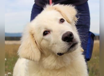 Garth - Kannst du machen, dass es nicht so lange dauert?