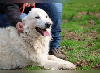 Alida - Unter dem Mantel der Verwahrlosung