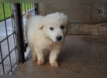 Calira - Weiß jemand, was aufpassen eigentlich heißt?