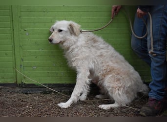 Graciela - NOTFALL - Was hatte sie schon...