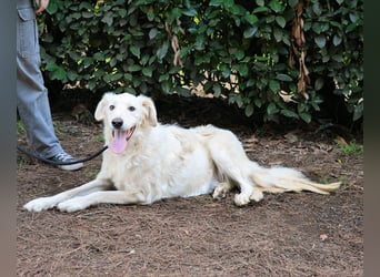 Hadeus - Wovon träumst du?