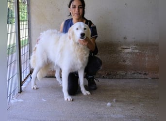 Kandie - Allein im Grau