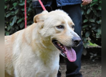 Admeto - Nur ein Wunsch: endlich nach Hause!