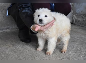 Clyro - SOS - Weiß jemand, was aufpassen eigentlich heißt ?