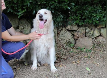 Papak - Nutze den Tag!