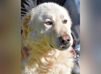 Fyona - Hell wie das Licht