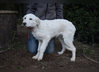 Stobin - So jung und so chancenlos ...