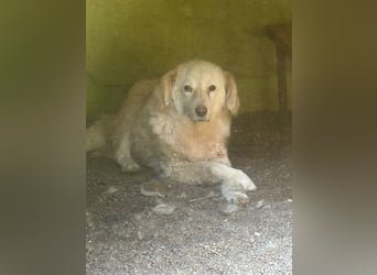 Graciela - NOTFALL - Was hatte sie schon...