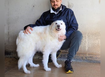 Wania - Zur falschen Zeit am falschen Ort...