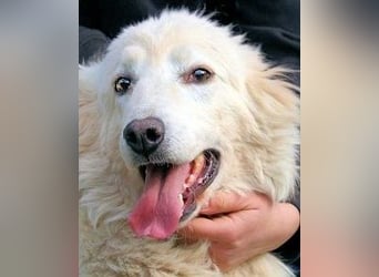 Alida - Unter dem Mantel der Verwahrlosung