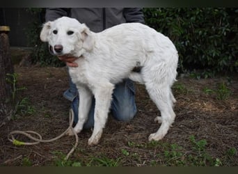 Solitelle - So jung und so chancenlos ...