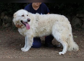 Fyona - Hell wie das Licht