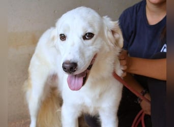 Habriel - weiß, es wird einmal ein Wunder gescheh'n