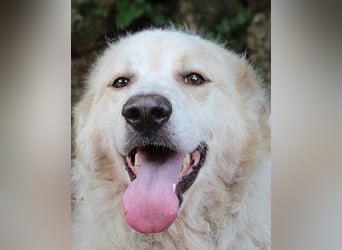 Papak - Nutze den Tag!