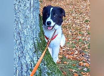 Uriel -  Zeigst du mir den Weg?