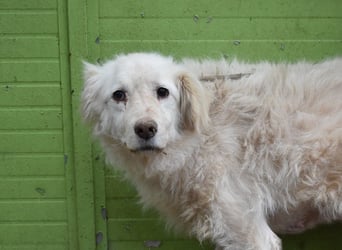 Graciela - NOTFALL - Was hatte sie schon...