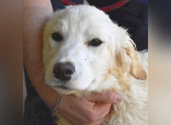 Habriel - weiß, es wird einmal ein Wunder gescheh'n