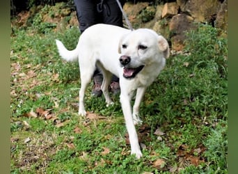 Talete - NOTFALL - Wenn man ehrlich ist