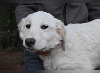 Stobin - So jung und so chancenlos ...