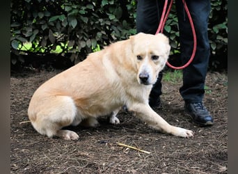 Admeto - Nur ein Wunsch: endlich nach Hause!