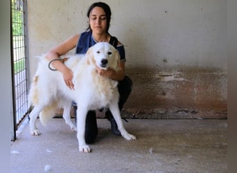 Kandie - Allein im Grau