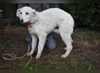 Solitelle - So jung und so chancenlos ...