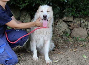 Papak - Nutze den Tag!