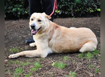 Admeto - Nur ein Wunsch: endlich nach Hause!