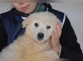 Calira - Weiß jemand, was aufpassen eigentlich heißt?