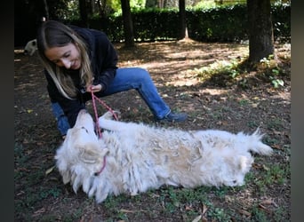 Hadeus - Wovon träumst du?