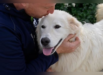 Garth - Kannst du machen, dass es nicht so lange dauert?