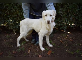 Thulin - Eigentlich ist ja alles da...