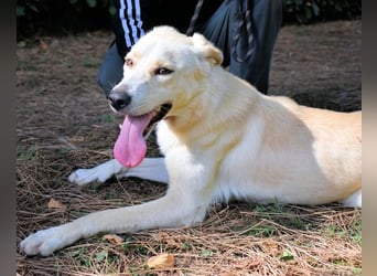 Admeto - Nur ein Wunsch: endlich nach Hause!