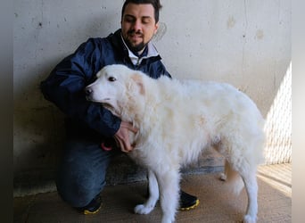 Wania - Zur falschen Zeit am falschen Ort...