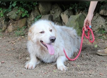 Papak - Nutze den Tag!