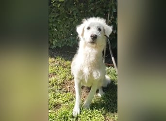 Cindra - NOTFALL -  Du würdest, wenn Du wüsstest....