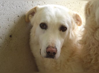 Vitale - "Komm, trau dich! Du kannst das!"