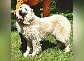 Alida - Unter dem Mantel der Verwahrlosung