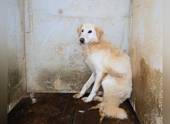 Frieder - Gibt es ein Leben jenseits von Schmerz und Einsamkeit?