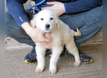 Cilwen - SOS - Weiß jemand, was aufpassen eigentlich heißt ?