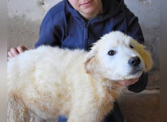 Clyro - SOS - Weiß jemand, was aufpassen eigentlich heißt ?