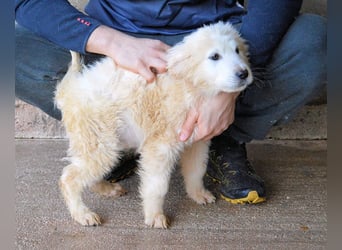 Clyro - SOS - Weiß jemand, was aufpassen eigentlich heißt ?