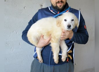 Cilwen - SOS - Weiß jemand, was aufpassen eigentlich heißt ?