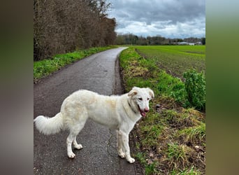Milo: ein Schatz, der immer lacht