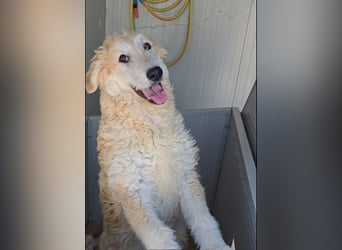 Tito: wie ein Sechser im Lotto