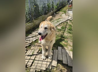 Tito: wie ein Sechser im Lotto