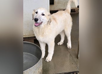 Tancredi: mit ihm wird die Welt ein wenig bunter