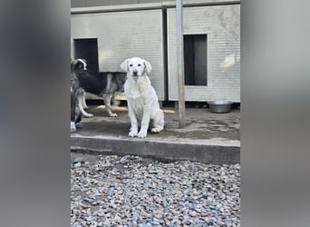 Clarissa: von der Flasche ins Tierheim